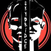 SKYBRIDGE SOUND logo - Similar company to Mngr