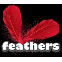 FeathersEvents logo - Similar company to Go2Play