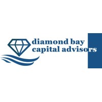 Diamond Bay Capital Advisors logo - Similar company to Lionwheel