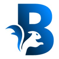 Bytesquirrel Innovation logo - Similar company to Coreceptionist