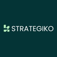 Strategiko logo - Similar company to Mopi