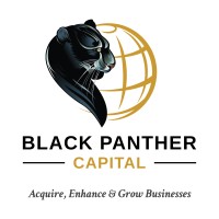 Black Panther Capital Ltd logo - Similar company to Tregan Partners