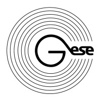 Gese Official logo - Similar company to Gese