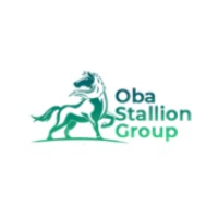 ObaStallion group logo - Similar company to Tech, Art And Design