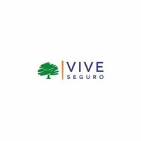 Vive Seguro Bajio logo - Similar company to Mc Microcomputación Del Bajío