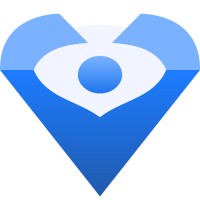 SysVisionz logo - Similar company to Plum