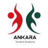 Ankara Student Academy logo - Similar company to Sports, Art And Educational Movement In Youth - Sarem