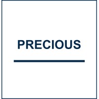 Precious logo - Similar company to Exponentialx