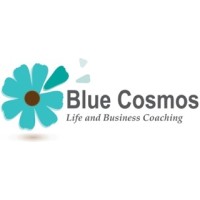 Blue Cosmos logo - Similar company to Blue Cromos