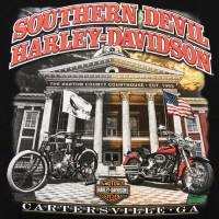 Southern Devil Harley Davidson logo - Similar company to Wild Fire Harley-Davidson