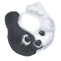 Chi Dog logo - Similar company to Pawsitivetouch