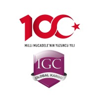 Inter Global Cargo & Logistic logo - Similar company to Metaks