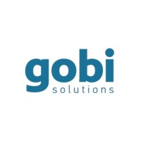 Gobi Business Intelligence Solutions logo - Similar company to Iworx