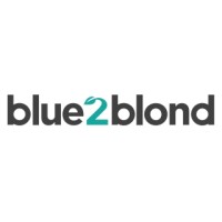 Blue 2 Blond logo - Similar company to Tvi Computers