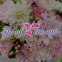Floral Images logo - Similar company to Floral Image Uk