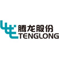 Changzhou Tenglong Auto Parts  Co., Ltd. logo - Similar company to Matiwi