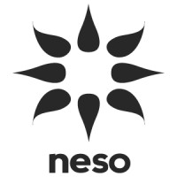 Neso logo - Similar company to Neso