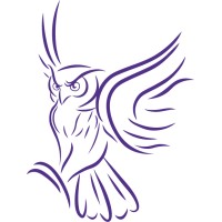 Owlicity Advisors logo - Similar company to Dr Finlays Private Practice