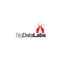 BigDataLabs logo - Similar company to Big Data Labs