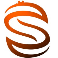 Samsoft Sync logo - Similar company to Developer'S404
