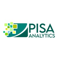 Pisa Analytics logo - Similar company to Z2H Academy