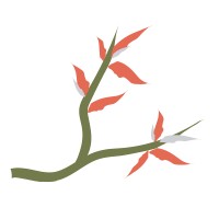 Blossoming Gardens Garden Design logo - Similar company to Garden Studio
