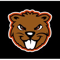 Belligerent Beavs