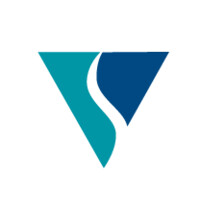 Viseon Inc. logo - Similar company to Generation Rep