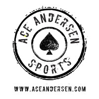 Ace Andersen Group logo - Similar company to Front Line Consulting Llc