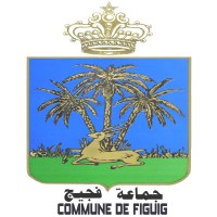 Commune Territoriale Figuig logo