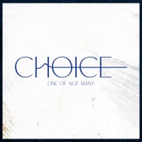 Choice International Consultancy logo - Similar company to Extra Shift