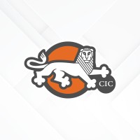 Cambridge International Consulting