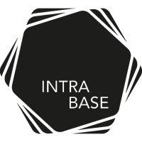 IntraBase logo - Similar company to Intrabases