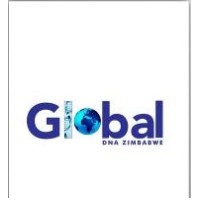 Global DNA Zimbabwe logo - Similar company to Zimlabs