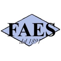 FAES IMPIANTI SRL logo - Similar company to Cdm Systems Srl