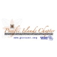 Pacific Islands Chapter of the Internet Society (PICISOC) logo - Similar company to Tehran Ai School