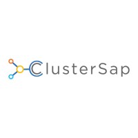 Cluster Sap logo - Similar company to Itechc - Ilo Training And Consulting México Y Ca