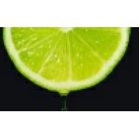 Lime Media Marketing logo - Similar company to Lime Media (By)
