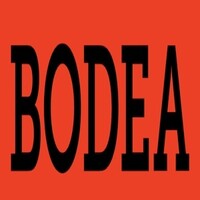Bodea logo - Similar company to Genie Global Group