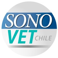 Sonovet Chile logo - Similar company to Dodozooft