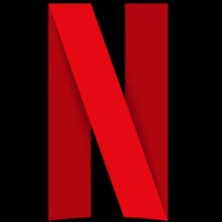 Netflix India logo - Similar company to Marvel India