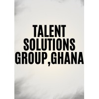 Talent Solutions Group Ghana logo - Similar company to Logisteed Solutions America, Ltd.