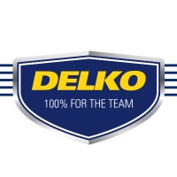 Team Delko logo - Similar company to Delko