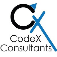 CodeX Consultants logo - Similar company to Stem School