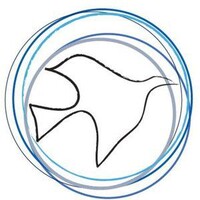 The Next Century Foundation logo - Similar company to Human Development Research Initiative