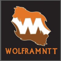 WOLFRAM-NTT logo - Similar company to Polyowlstudios
