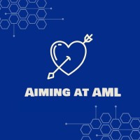 Aiming At AML logo - Similar company to Shuttr.