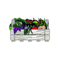 M Farms logo - Similar company to M Farms