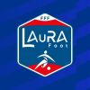 Ligue Auvergne-Rhône-Alpes de Football (LAuRAFoot) logo - Similar company to District Drôme-Ardèche De Football