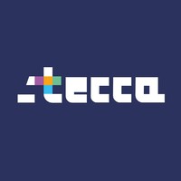Stecca logo - Similar company to Datalex Canada